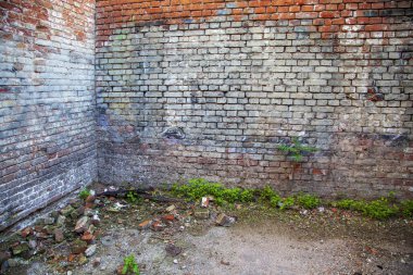 Eski bir tuğla binanın kalıntıları, köşe, harabe bir kırmızı tuğla evin eski duvarı.