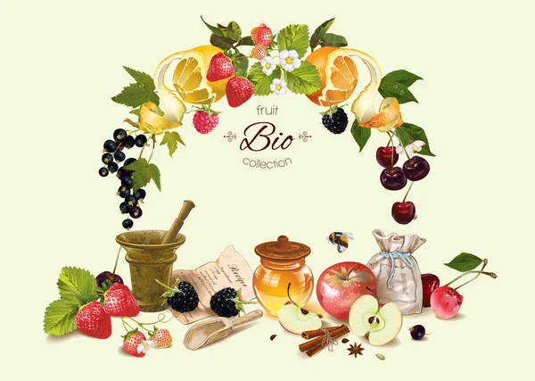 Owoce i jagody compositoin kosmetyczne — Wektor stockowy