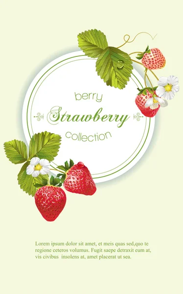 Erdbeere vertikal Banner — Stockvektor