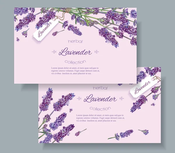 Lavendel natuurlijke cosmetica banners — Stockvector