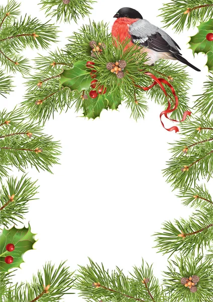 Moldura bullfinch de Natal —  Vetores de Stock