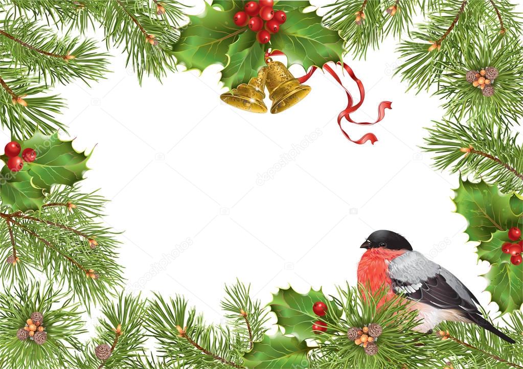 Christmas bullfinch frame