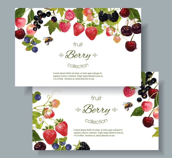 Berry mix banners — Stock vektor