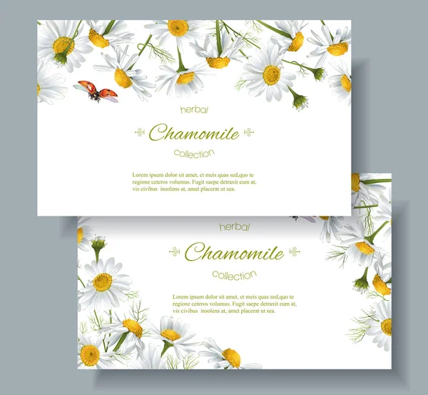 Chamomile flower banners — Stock Vector