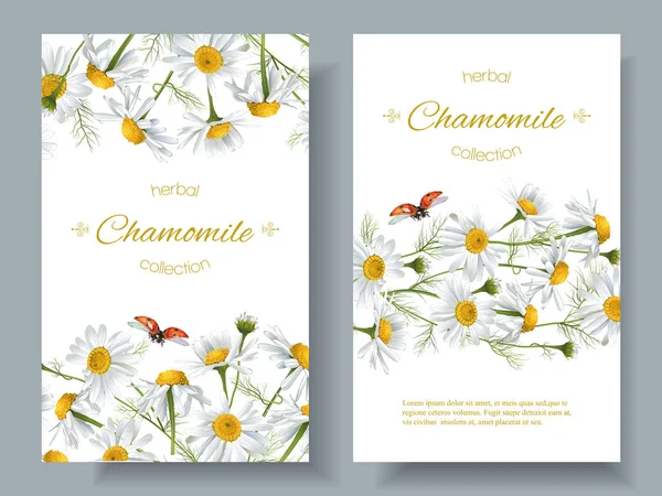 Bannières de fleurs de camomille — Image vectorielle