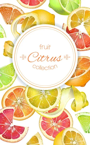 Citrus vertcal nápis — Stockový vektor
