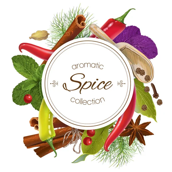 Spice ronde banner — Stockvector
