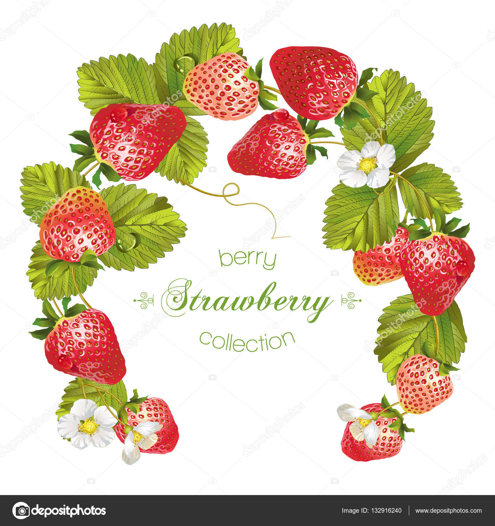 Free Free Fruit Wreath Svg 139 SVG PNG EPS DXF File