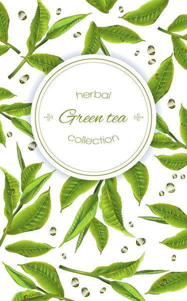 Zöld tea banner — Stock Vector