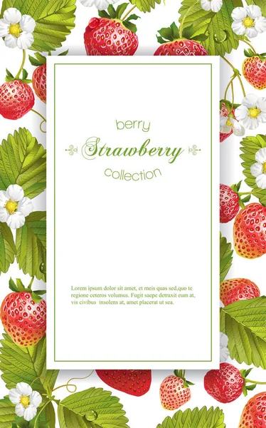 草莓的垂直横幅 — 图库矢量图片