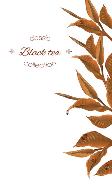 Banner de té negro — Vector de stock
