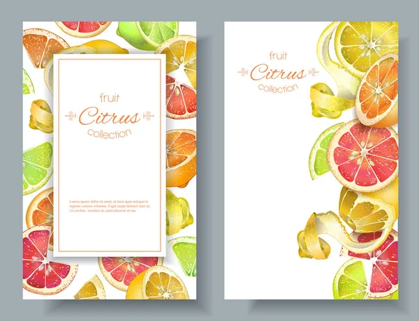 Narenciye vertcal afiş