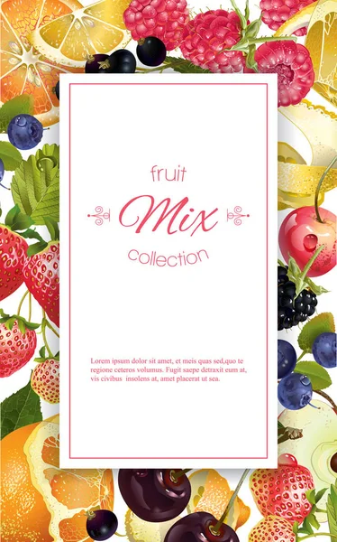 Bannière fruits et baies — Image vectorielle