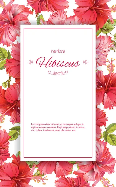 Banner de flor de hibisco — Vector de stock