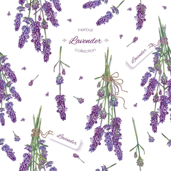 Patrón sin costura de lavanda — Vector de stock