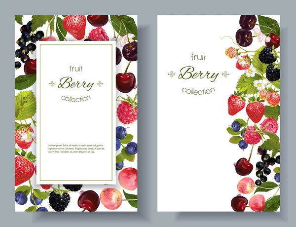 Bannières de mélange Berry — Image vectorielle