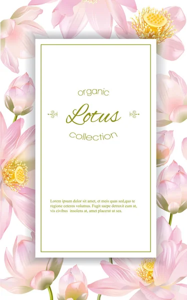 Lotus bloem banner — Stockvector