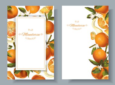 Mandalina dikey afiş