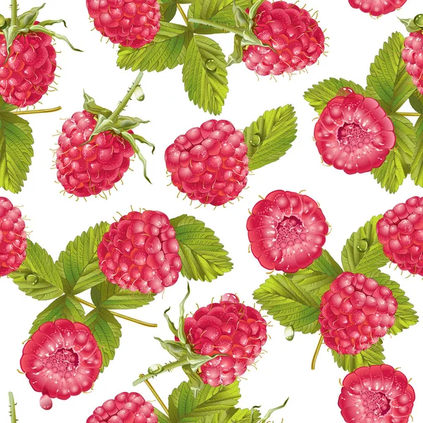 Vector raspberry pattern — Stock Vector