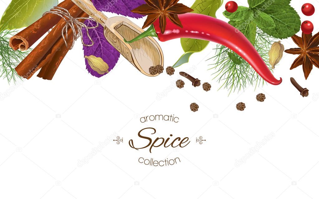 Spice horizontal banner