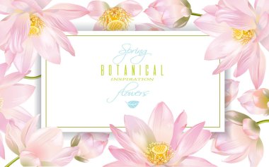 Lotus çiçeği afiş