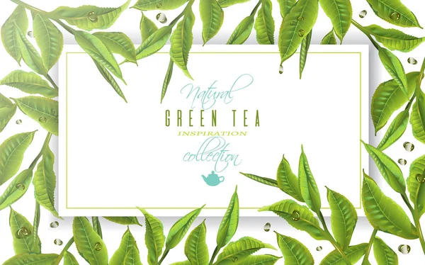 Banner de té verde — Vector de stock
