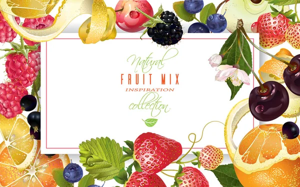 Banner de mezcla de frutas — Archivo Imágenes Vectoriales