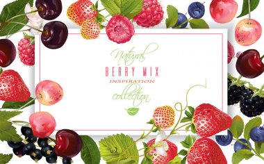 Berry yatay banner