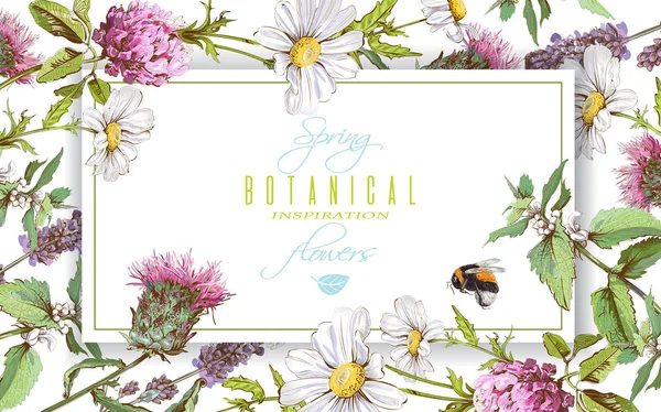 Herbal horizontal banner — Stock Vector