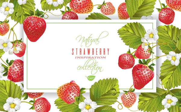 Strawberry horisontell banderoll — Stock vektor