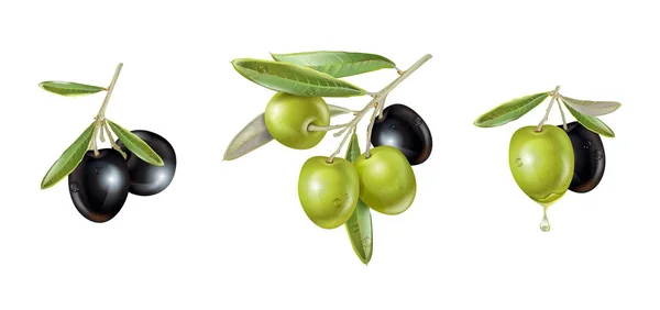 Olive realistische instellen — Stockvector