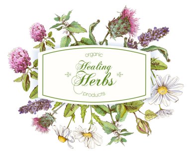 Vektör bitkisel çerçeve