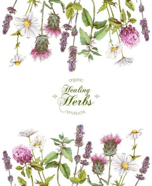 Vektör bitkisel çerçeve