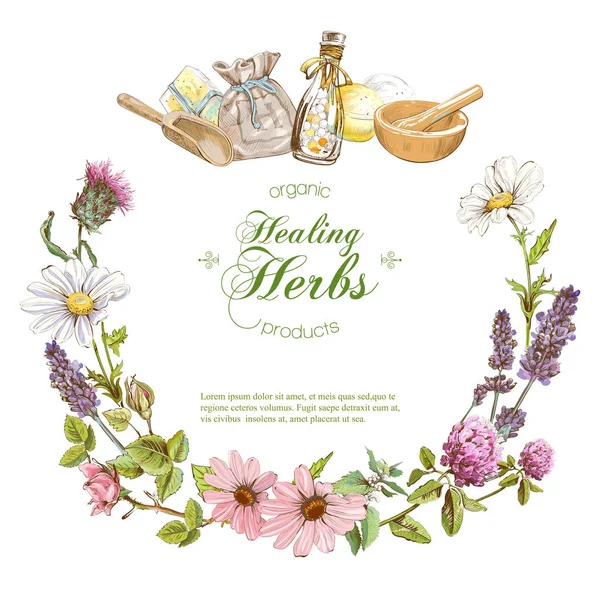 Vector herbal banner — Stock Vector