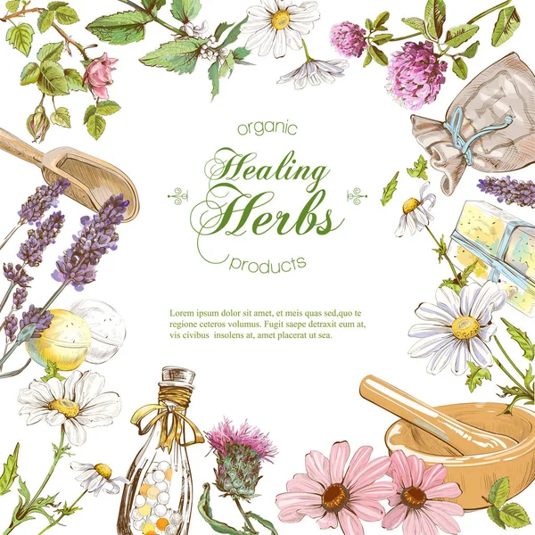 Vektör bitkisel çerçeve