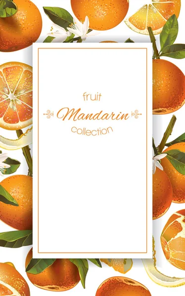 Bannière verticale mandarine — Image vectorielle