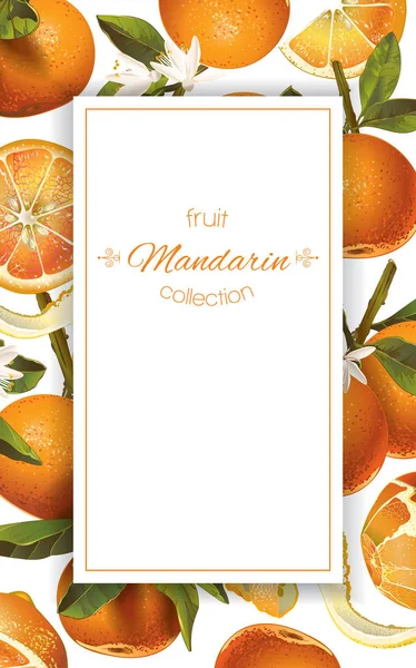 Mandarijn verticale banner — Stockvector