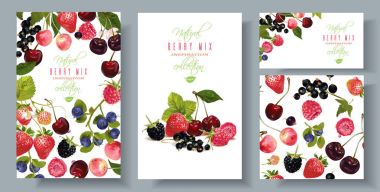 Berry mix afiş kümesi