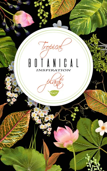 Bannière plantes tropicales — Image vectorielle