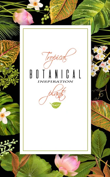热带植物横幅 — 图库矢量图片