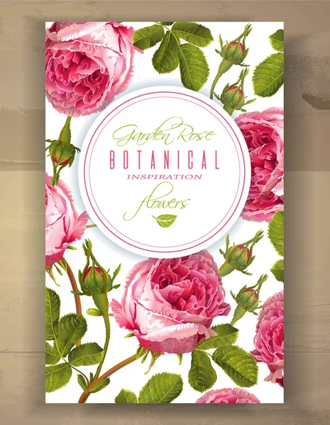 Bandeira vertical Rose —  Vetores de Stock