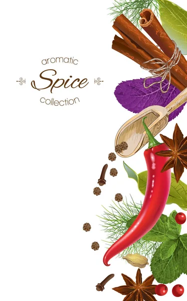 Spice vertical banner — Stock Vector