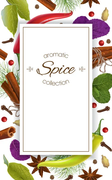 Pionowy baner Spice — Wektor stockowy