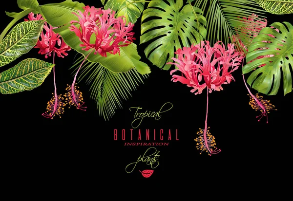 Bordure de fleurs tropicales — Image vectorielle