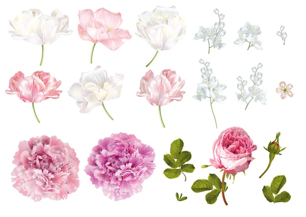 Ensemble d'éléments floraux — Image vectorielle