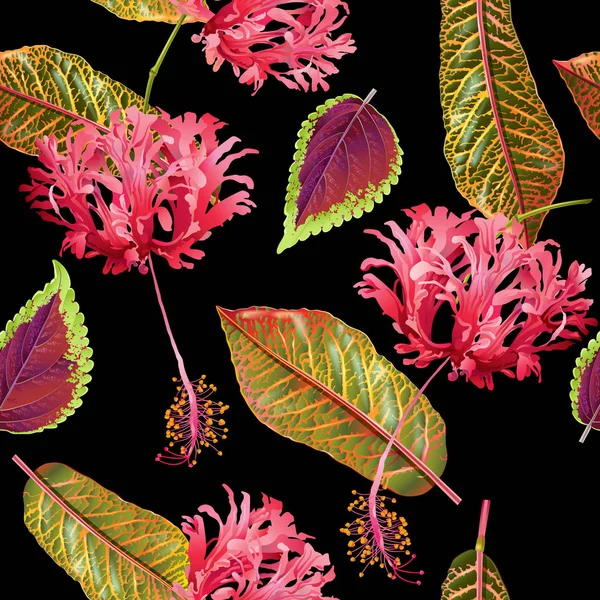 Modèle de plantes tropicales — Image vectorielle