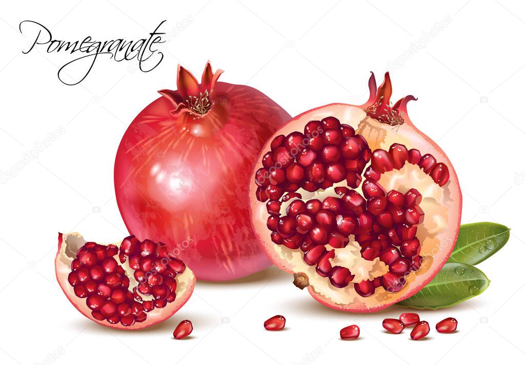 Pomegranate realistic illustration