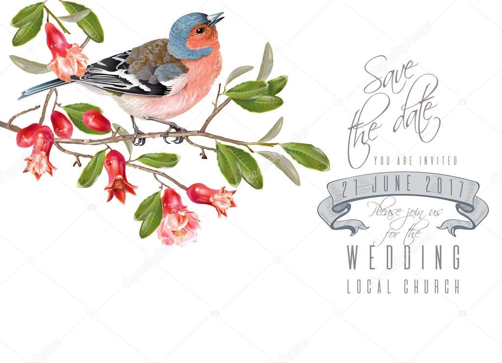 Finch pomegranate branch card