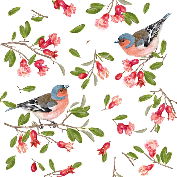 Motif de branche finch — Image vectorielle