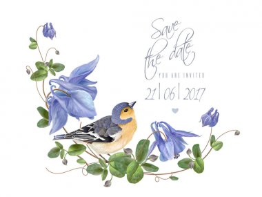 Mavi çiçek kuş kaydetme tarihi